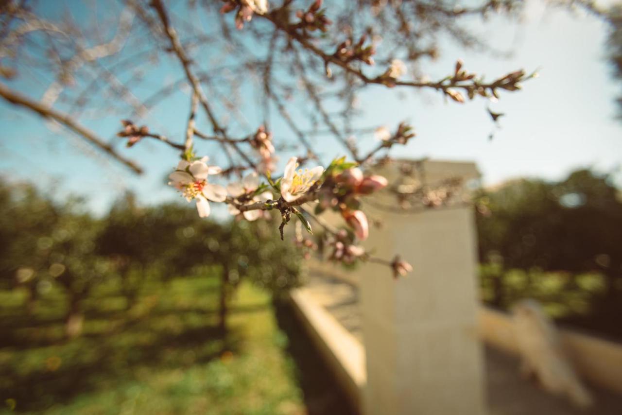 Masseria Gagliardi ตารันโต ภายนอก รูปภาพ